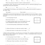 Spongebob Genetics Answer Key – The Worksheet Is An Assortment Of 4 Intriguing Pursuits That Within Genetics Worksheet Answer Key