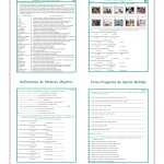 Subject Pronouns Worksheet 1 Spanish Answer Key | Db-Excel in Subject Pronouns In Spanish Worksheet