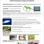 Symbiotic Relationships Worksheet Answers In Ecological Relationships Worksheet Answers