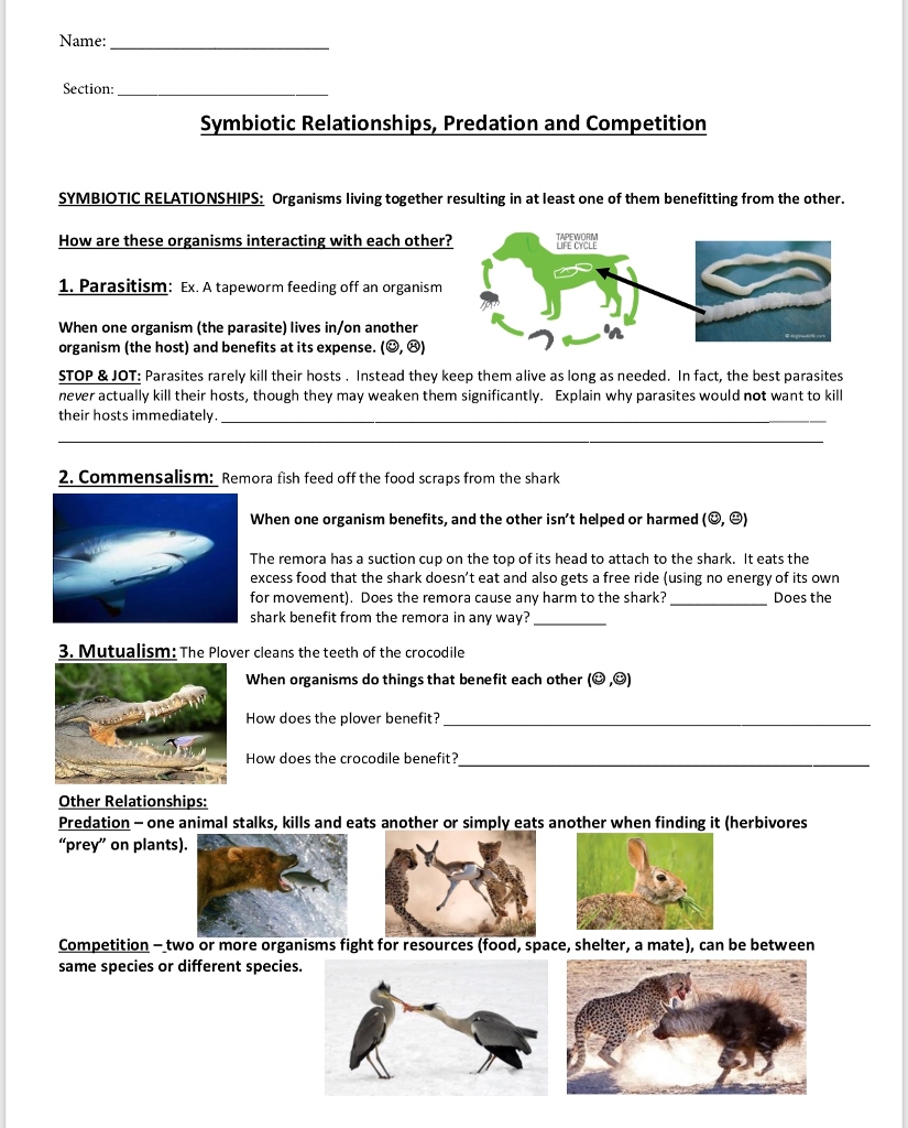 Symbiotic Relationships Worksheet Answers in Ecological Relationships Worksheet Answers