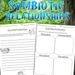 Symbiotic Relationships | Worksheets | Boom Cards | Distance Learning – Made By Teachers Within Symbiotic Relationships Worksheet Answers