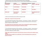 The Big Four – Macromolecules Lab Answer Key 1. What Are The With Macromolecules Worksheet 2 Answers