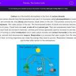 The Carbon Cycle Worksheet Answers Pertaining To Carbon Cycle Worksheet Answers
