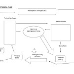 The Carbon Cycle Worksheet Answers With Regard To The Carbon Cycle Worksheet