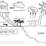 The Carbon Cycle Worksheet Answers With The Carbon Cycle Worksheet