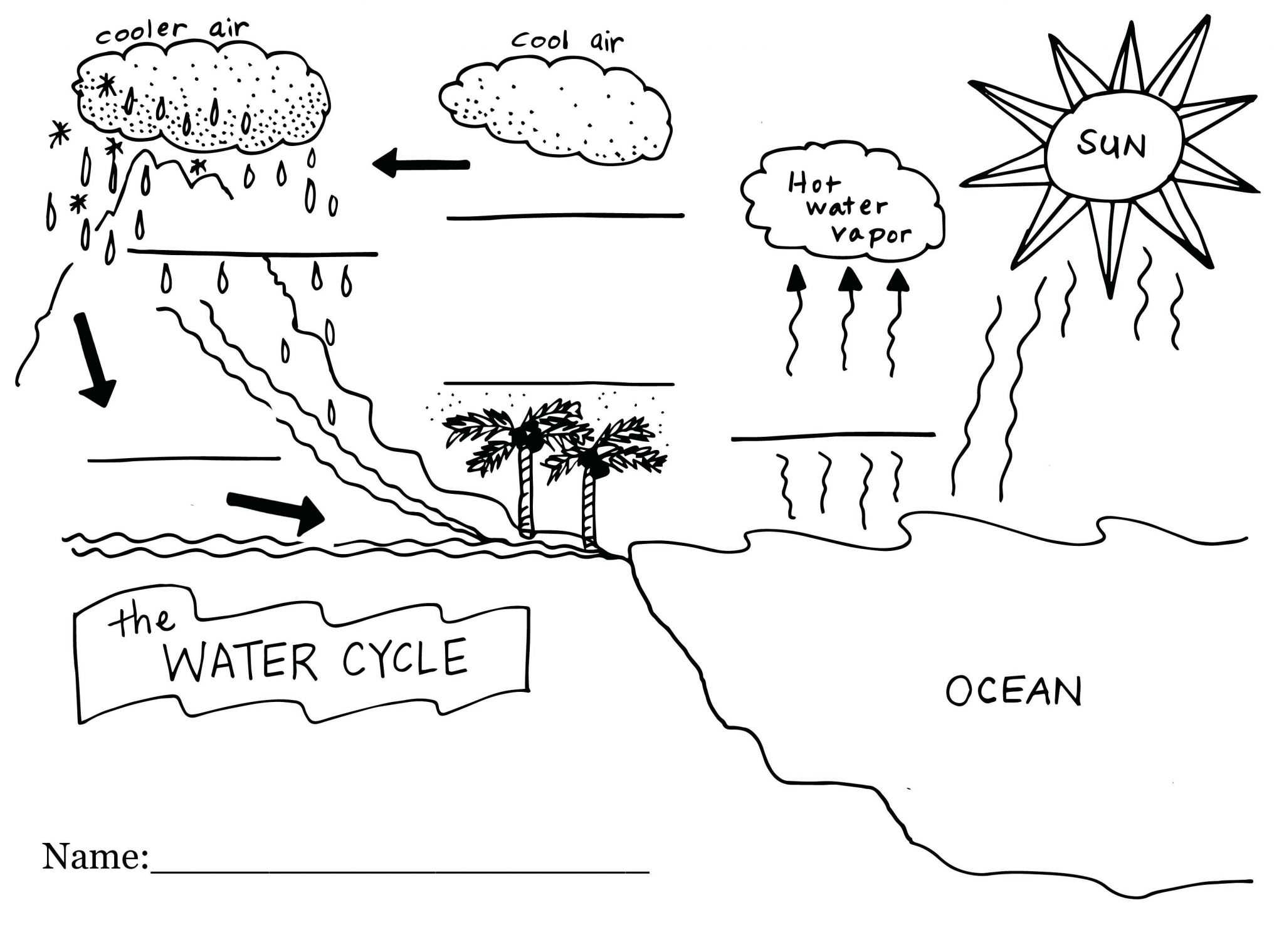 The Carbon Cycle Worksheet Answers within Carbon Cycle Diagram Worksheet