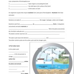 The Carbon Cycle Worksheet Throughout The Carbon Cycle Worksheet