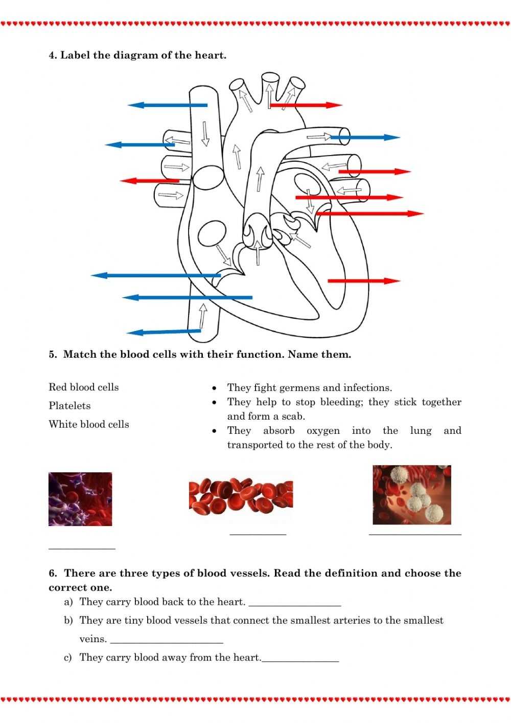 The Circulatory System Worksheet Answers in The Circulatory System Worksheet Answers