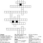 The Circulatory System Worksheet Answers Pertaining To The Circulatory System Worksheet Answers