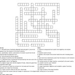 The Digestive System Word Search Word — Db-Excel within Digestive System Worksheet Answer Key