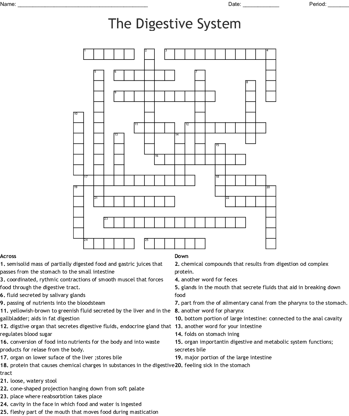 The Digestive System Word Search Word — Db-Excel within Digestive System Worksheet Answer Key