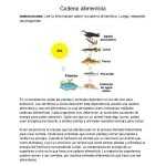 The Food Chain Spanish Reading Comprehension Worksheet – Classful Regarding Spanish Reading Comprehension Worksheet