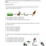The Food Web Worksheet – Therescipes Throughout Bill Nye Food Web Worksheet