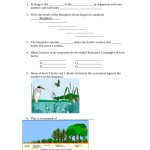 The Great Big Ecology Review Worksheet — Db Excel Intended For Ecology Review Worksheet 1