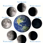 The Moon Phases And The Tutoring Of Vegetables. Inside Moon Phases Worksheet Pdf