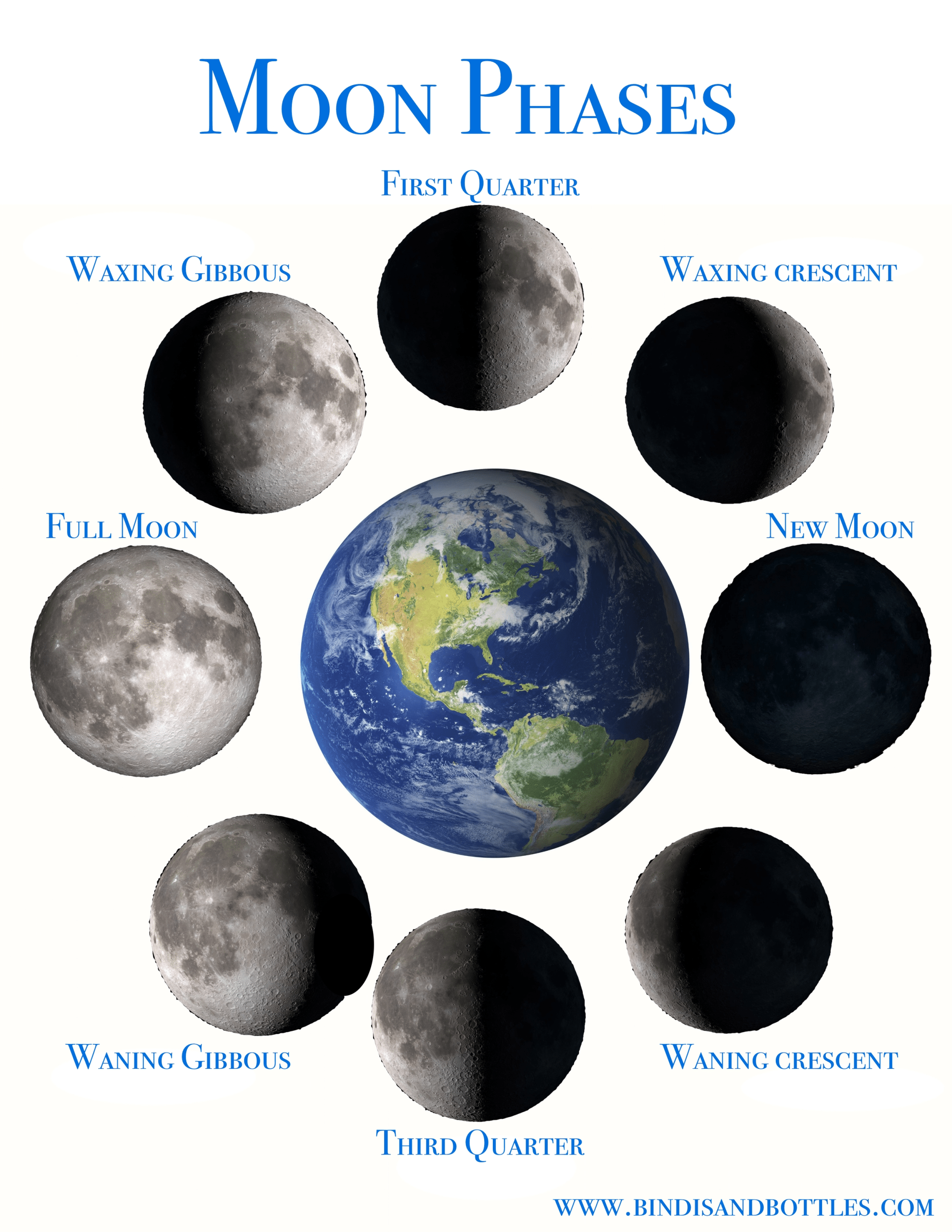 The Moon Phases And The Tutoring Of Vegetables. Inside Moon Phases Worksheet Pdf