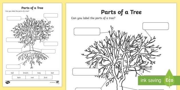 The Parts Of A Tree Worksheet / Activity Sheet - National Tree with regard to Parts Of A Tree Worksheet