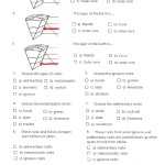 The Rock Cycle Worksheet Answer Key - Greenica for Rock Cycle Worksheet Answers