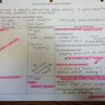 The Spanish American War Worksheet : Spanish American War Causes And Effects Worksheet Free To Within Spanish American War Worksheet