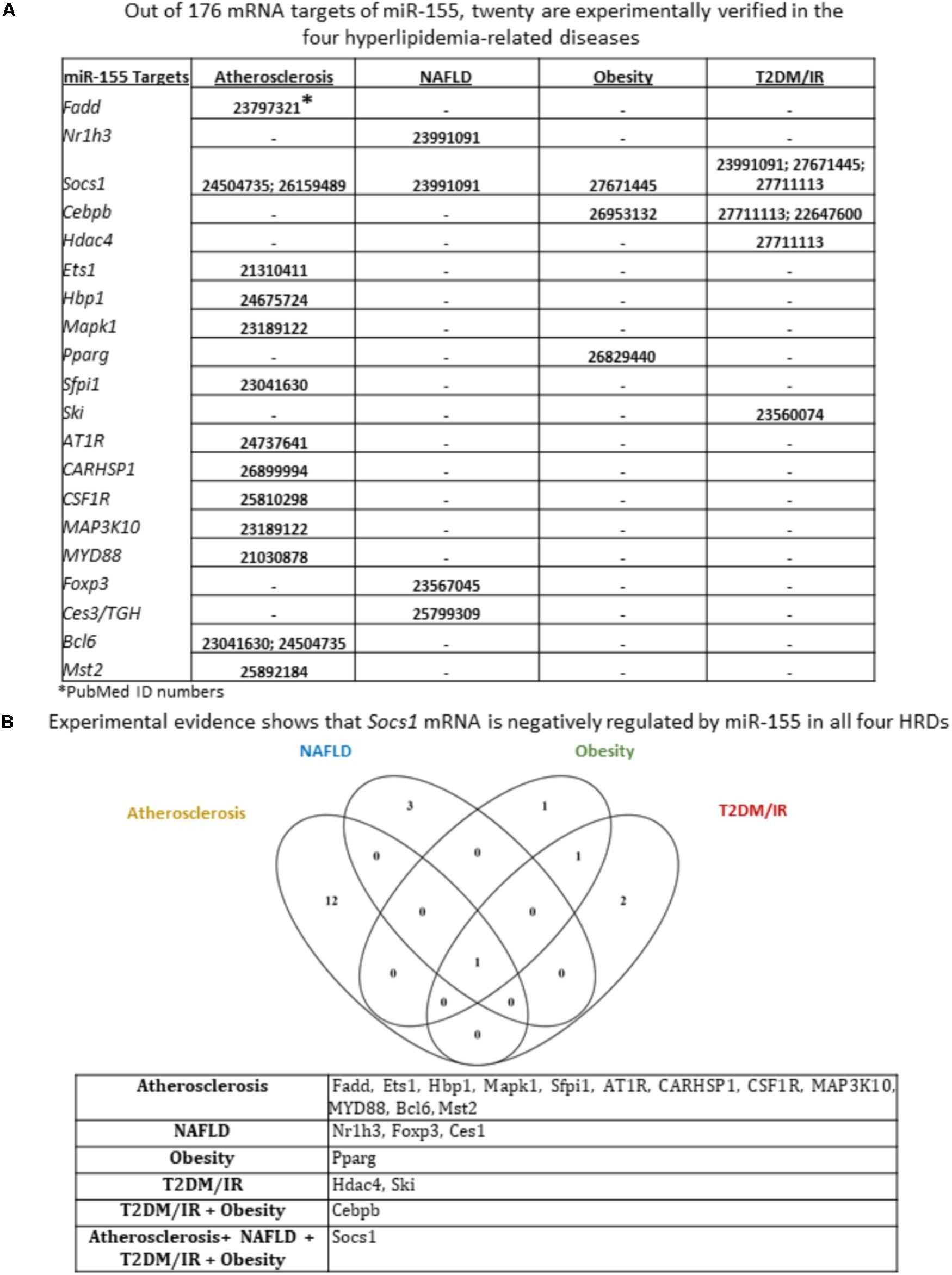 Transcription And Translation Practice Worksheet Answers — Db Excel Intended For Transcription And Translation Practice Worksheet