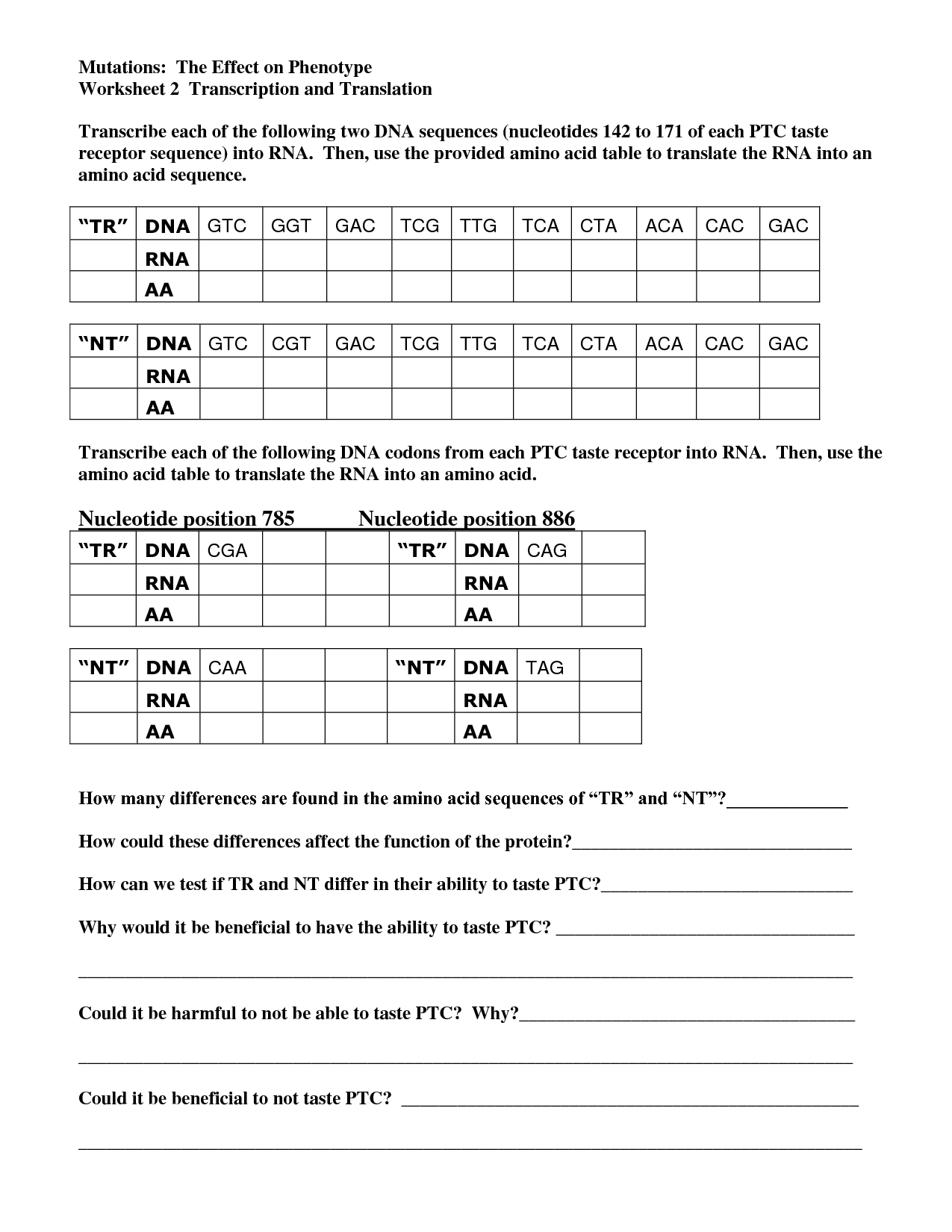 Transcription And Translation Practice Worksheet Within Transcription And Translation Practice Worksheet