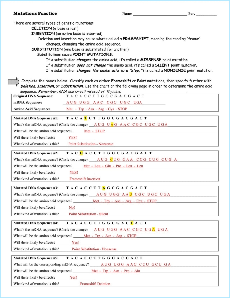Transcription And Translation Worksheet Answers / Transcription And Translation Coloring for Transcription And Translation Worksheet Answers