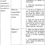 Transcription And Translation Worksheet Practice Answers — Villardigital Library For Education With Regard To Transcription And Translation Worksheet Answers