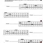 Triple Beam Balance Practice Worksheet | Worksheet For Education With Regard To Triple Beam Balance Practice Worksheet