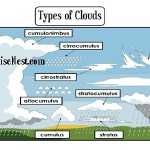 Types Of Clouds – The Wise Nest For Types Of Clouds Worksheet