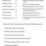 Types Of Nouns Worksheet For Types Of Nouns Worksheet