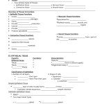 Types Of Tissues Worksheet Answers Within Types Of Tissues Worksheet