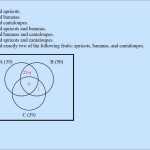 Venn Diagram Word Problems Worksheet | Education Template Within Venn Diagram Word Problems Worksheet