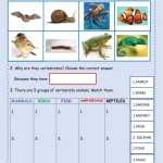 Vertebrates Online Activity Intended For Animal Classification Worksheet Pdf