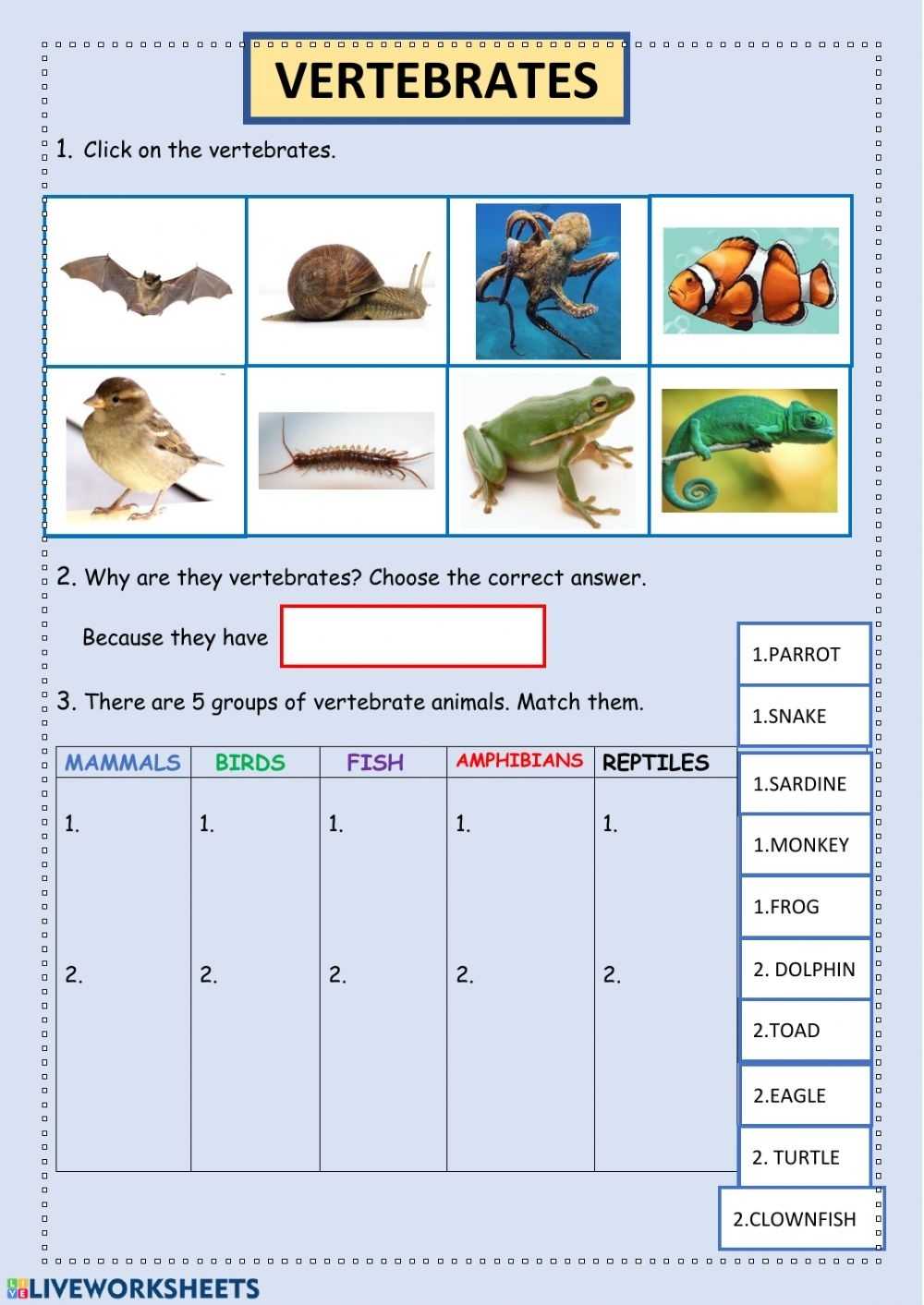 Vertebrates Online Activity Intended For Animal Classification Worksheet Pdf