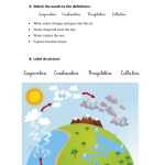 Water Cycle Worksheet Answers – Greenize With The Water Cycle Worksheet Answers