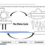 Water Cycle Worksheet For Kids Within Water Cycle Worksheet Middle School