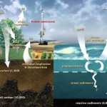 Where Does The Earth Store All Its Carbon? – Geography Realm Intended For Carbon Cycle Diagram Worksheet