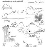 Where In The World Is The Desert Biome? Worksheets | 99Worksheets With World Biome Map Coloring Worksheet