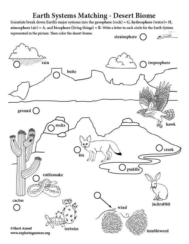 Where In The World Is The Desert Biome? Worksheets | 99Worksheets With World Biome Map Coloring Worksheet