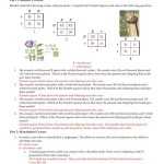 Worksheet Answer Simple Genetics Practice Problems for Genetics Practice Problems Simple Worksheet
