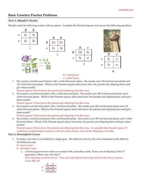 Worksheet Answer Simple Genetics Practice Problems for Genetics Practice Problems Simple Worksheet