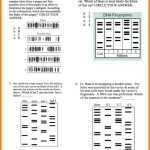 Worksheet Dna Fingerprinting Worksheet Dna Fingerprinting — Db Excel With Dna Fingerprinting Worksheet Answers
