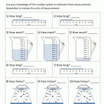Worksheet. Measuring Liquid Volume Worksheet. Worksheet Fun Worksheet throughout Measuring Liquid Volume Worksheet