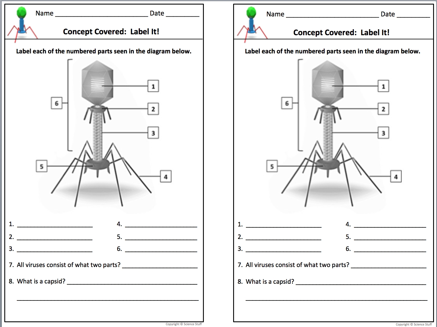 Worksheet. Virus And Bacteria Worksheet. Grass Fedjp Worksheet Study Site intended for Virus And Bacteria Worksheet