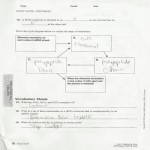 Zane'S Dna: Transcription/Translation Worksheets With Regard To Dna Transcription And Translation Worksheet